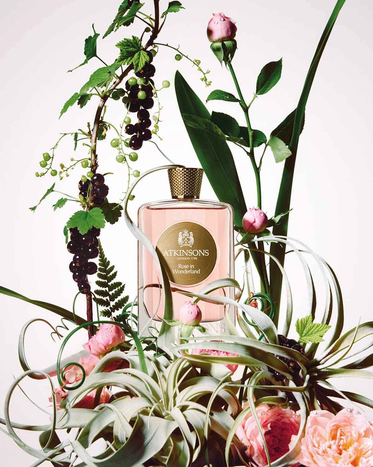 ATKINSONS阿特金森 玫瑰仙境淡香精 100ml NT$6,250