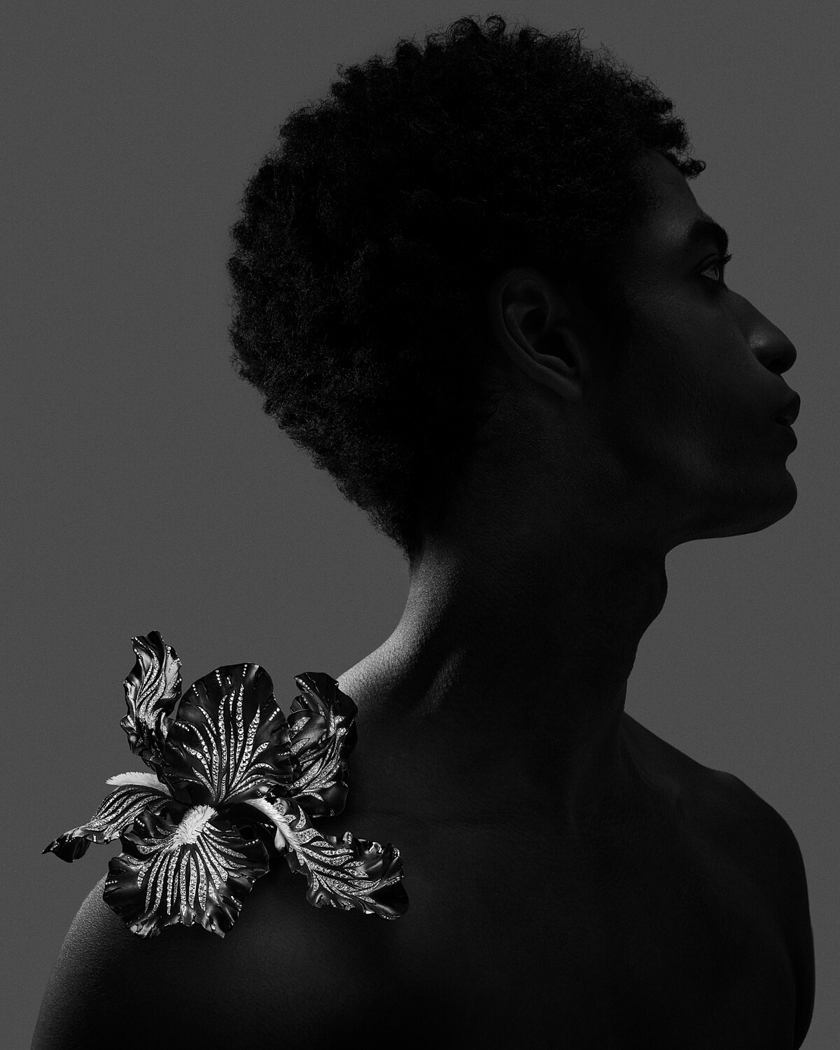 鳶尾花作為肩針；紫藤花內藏梳針機關，可用以髮飾或別針運用；鹿角鍬形蟲設計為胸針。