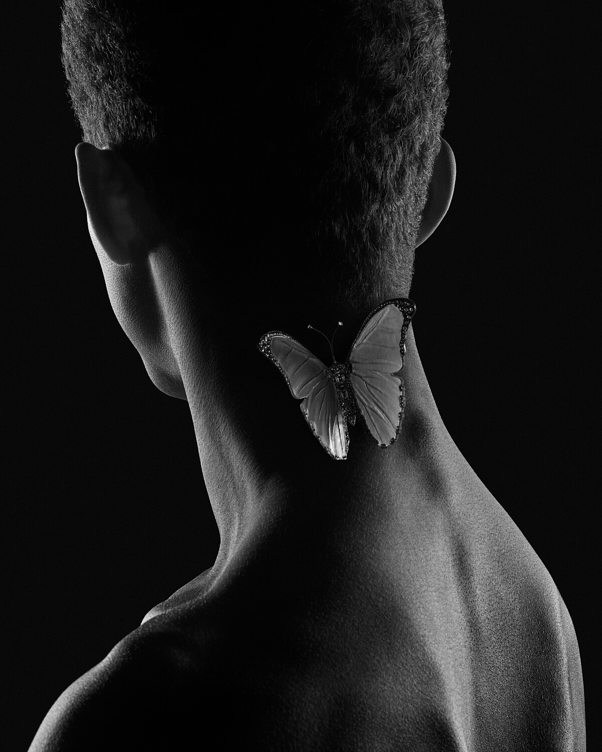 罌粟花可用為頭飾或胸針來運用；香豌豆花可轉化成不同造型的胸針；蝴蝶則透過隱藏磁扣系統固定於衣物之上。