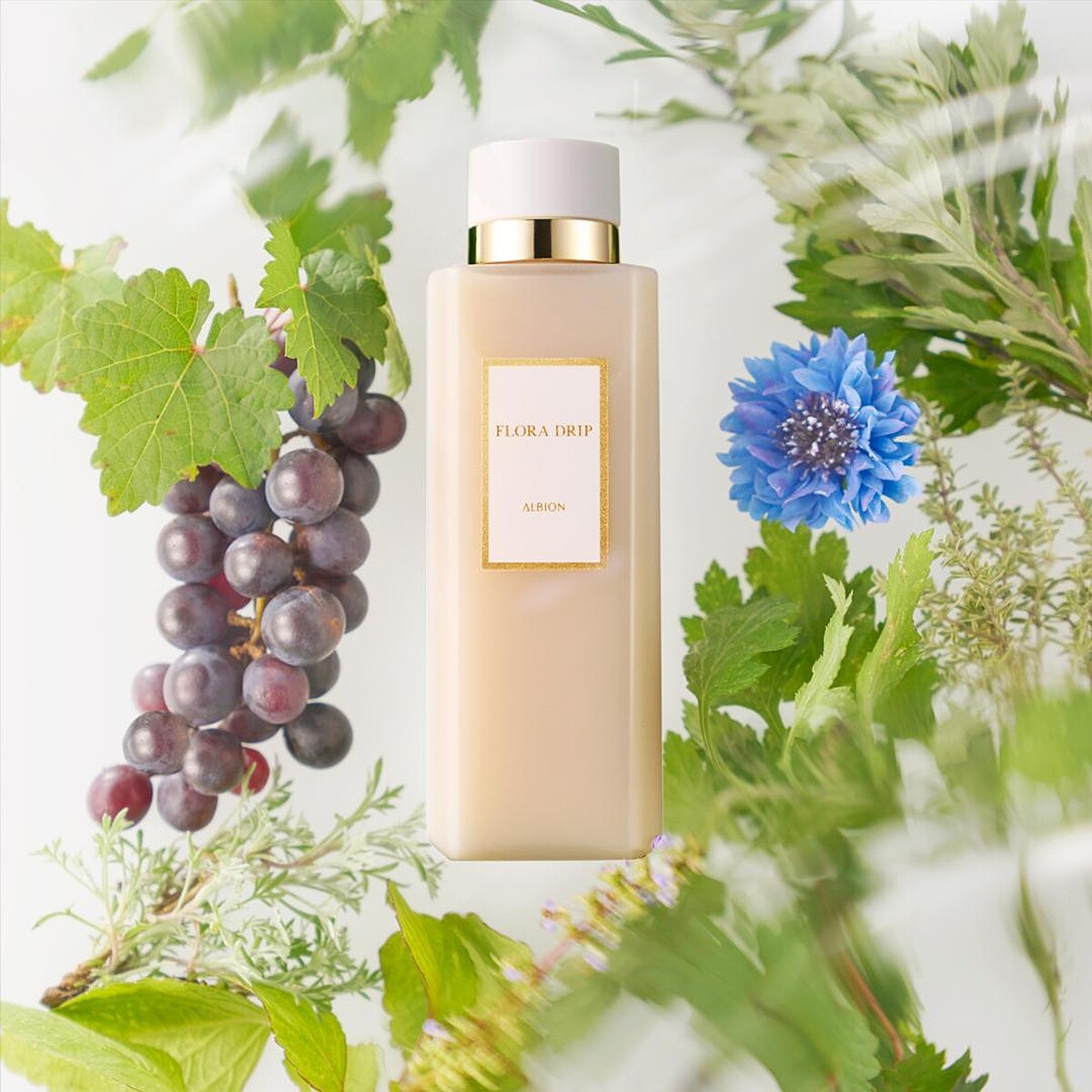 ALBION白神皺酵露80ml，NT2,300、160ml，NT4,100