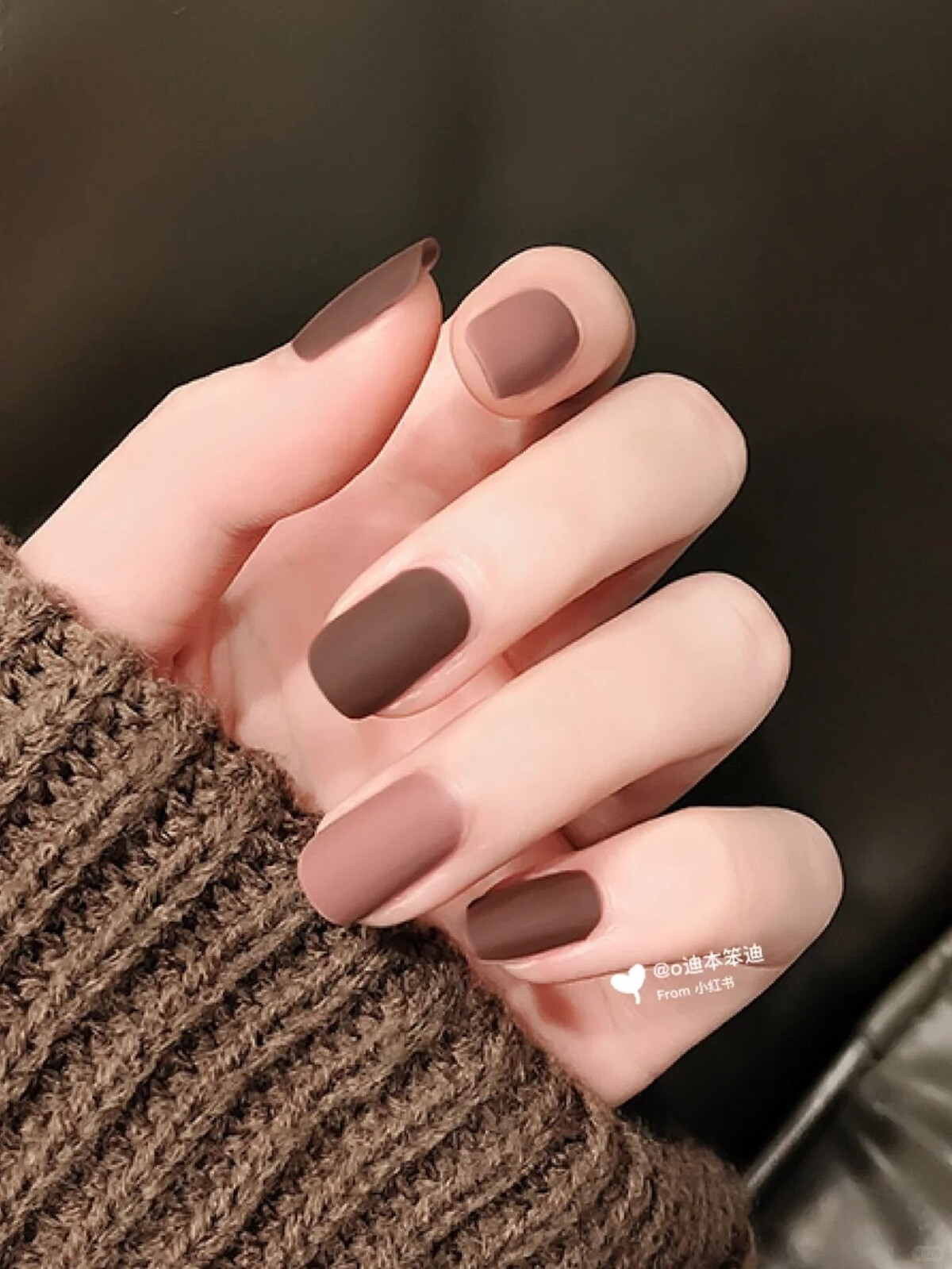 Photo/小紅書@迪本笨迪