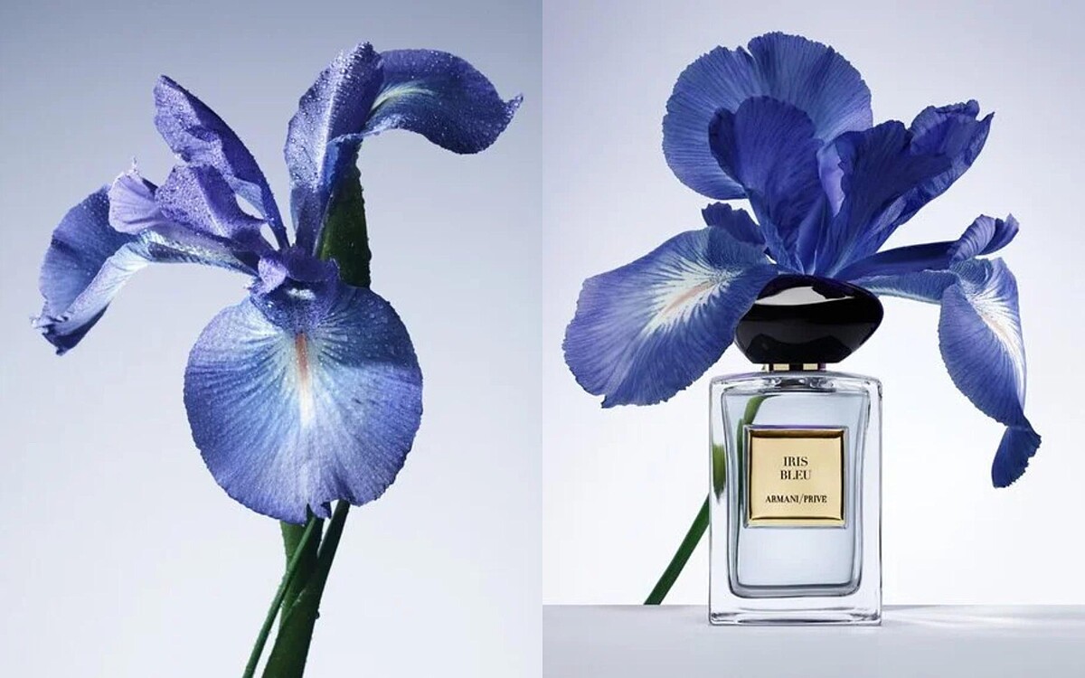 Armani 高訂淡香水花園系列 黎明鳶尾，50ml NT5,500、100ml NT8,500