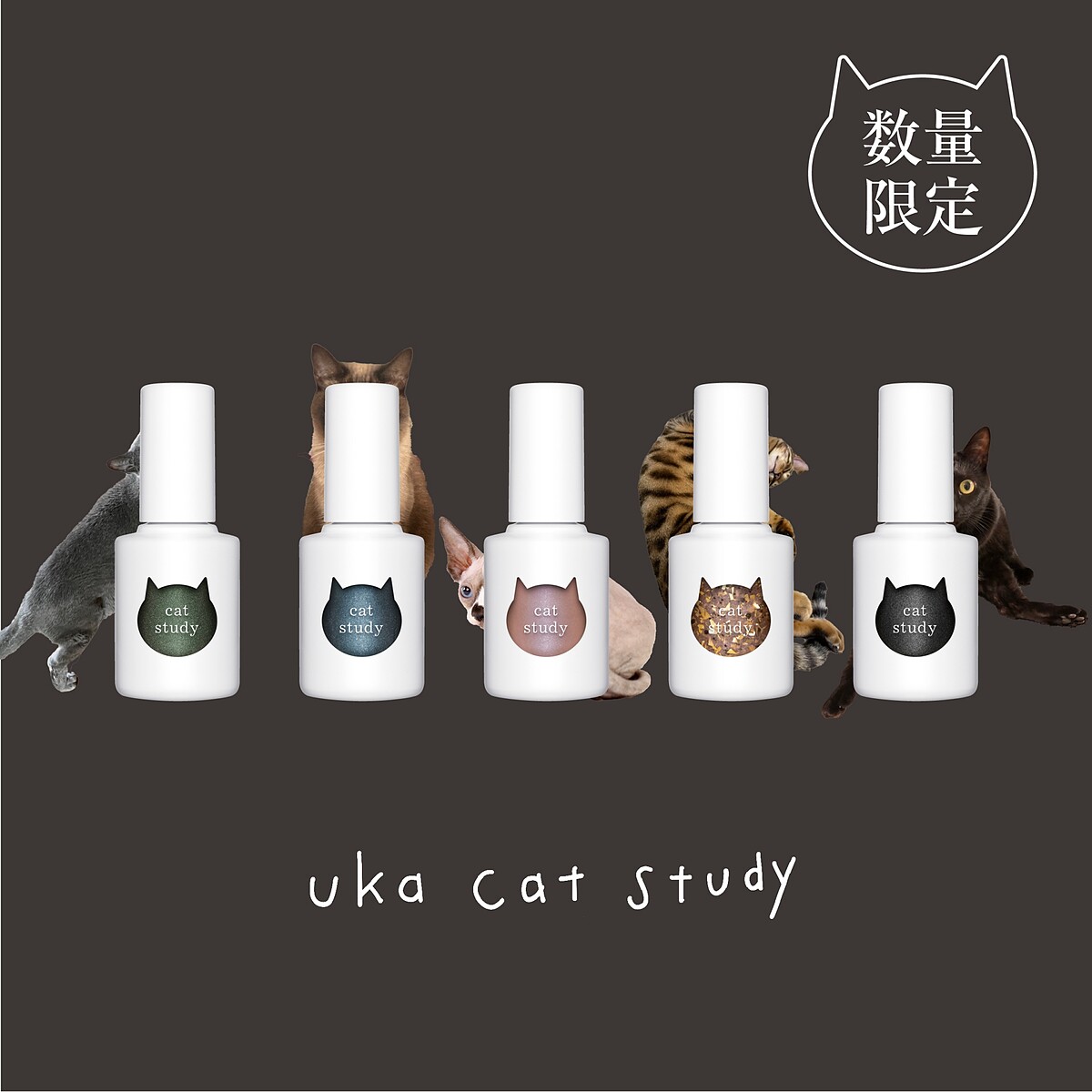 uka Cat Study貓咪漫步系列指甲油，以「光影下的貓」為靈感，描繪在流動的光影中，貓咪的毛流光澤、貓眼的靈動光芒，呈現出貓咪獨有的神秘、優雅與個性(Photo/1010 HOPE)。