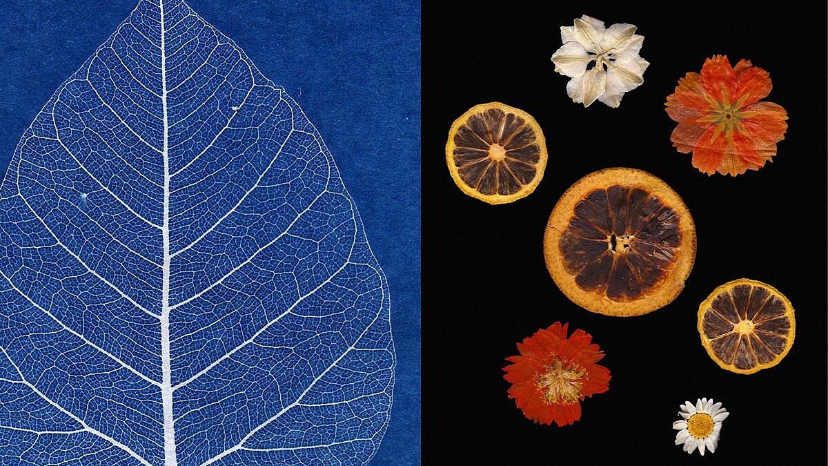 心理測驗｜大自然圖騰5選1 測測你近期的身心狀態與提醒