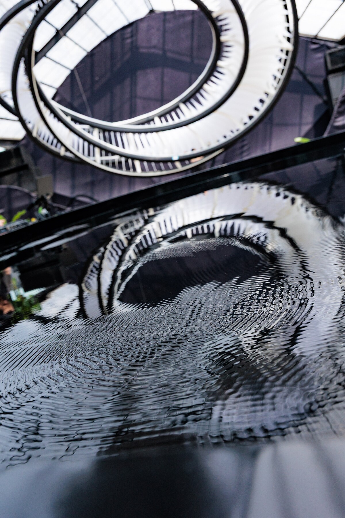 SensWave 波感溫室「無盡之境 Mobius Flow 」