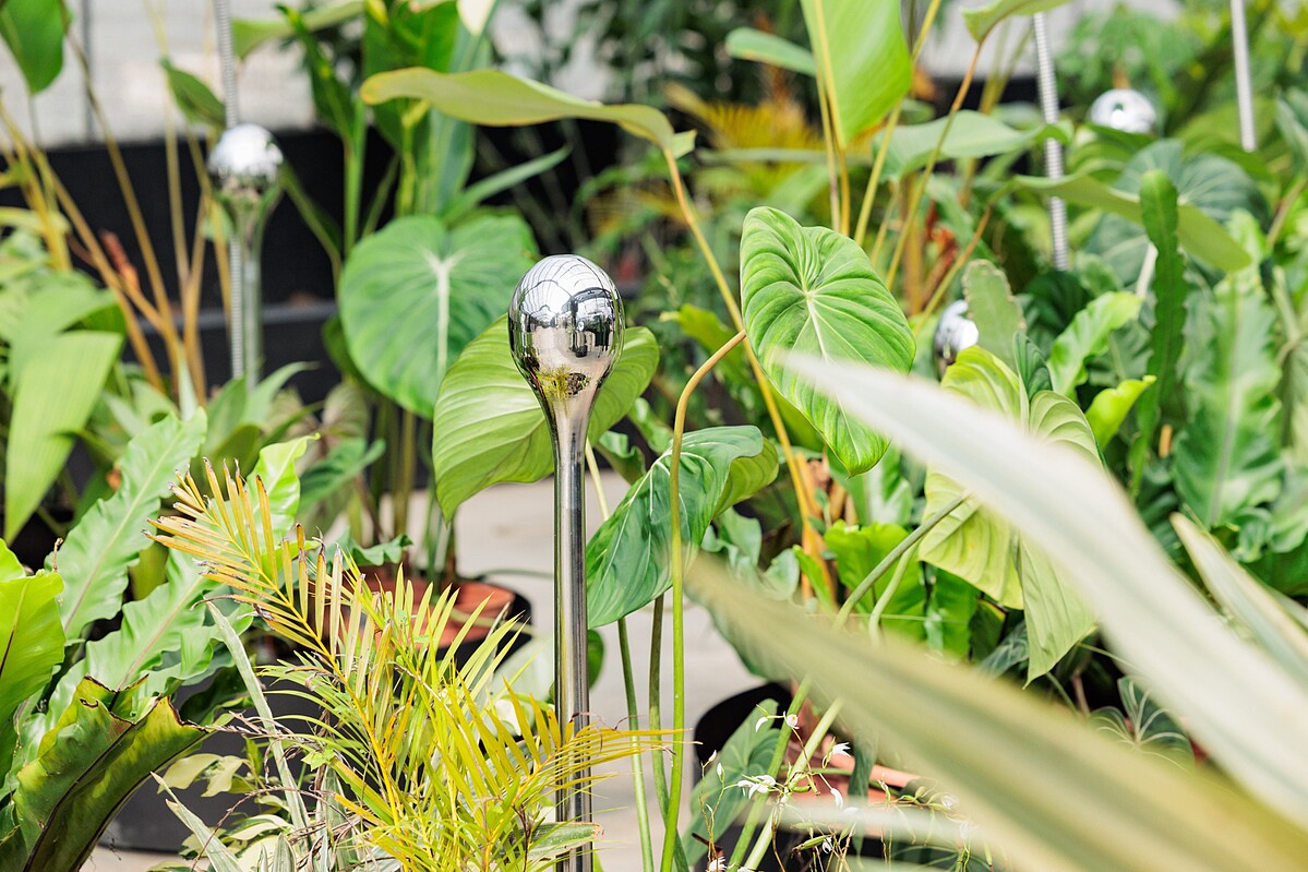 SensWave 波感溫室「共聲植島 Future Botanic 」