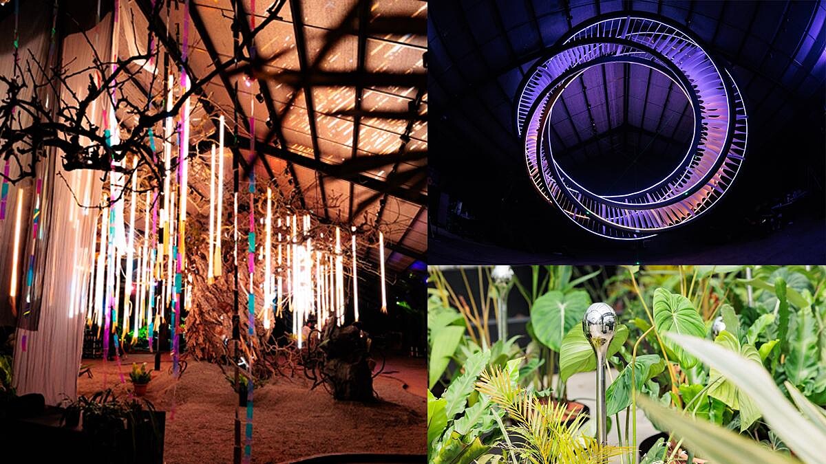 原圖由泊人ANKR提供