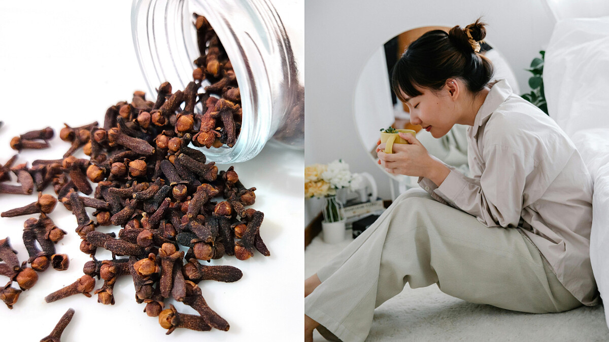 「丁香」天然的抗炎特效藥 3種丁香養生法 專治口臭、胃脹、還能提神醒腦、緩解生理不適！