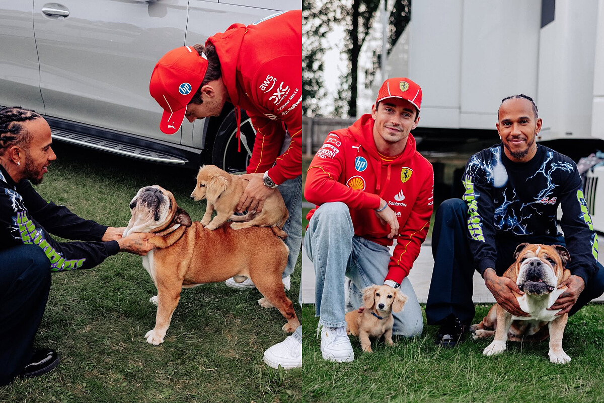 對漢米爾頓來說，「改變世界」不只是口號，是生活的每一個選擇。