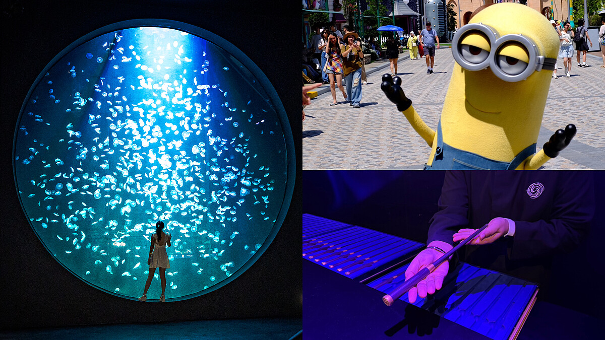 2025新加坡旅遊新地圖！5大必去景點開箱，升級版海洋生態館、小小兵樂園、哈利波特展一次看