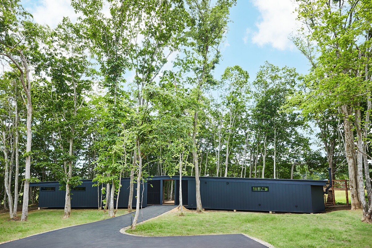 建築像大鳥一般，將翅膀展開棲息在森林中。