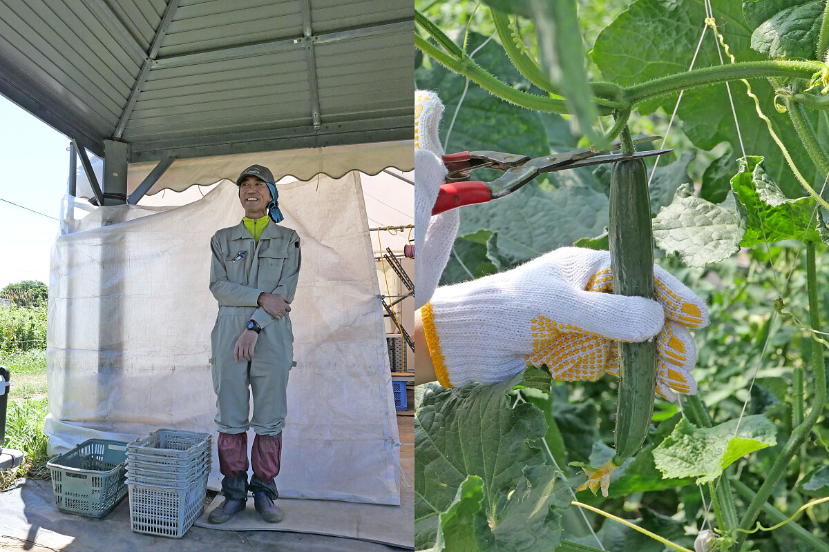 鄰近農場主人阿部先生。