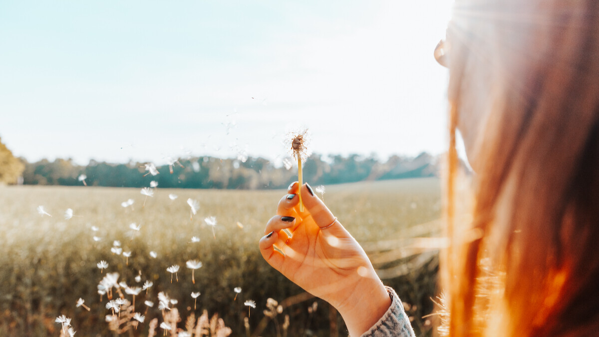 塔羅占卜｜ 未來事業的下一步？