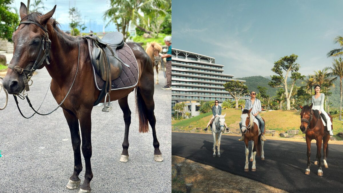宜蘭凱渡廣場酒店-椰林馬趣活動