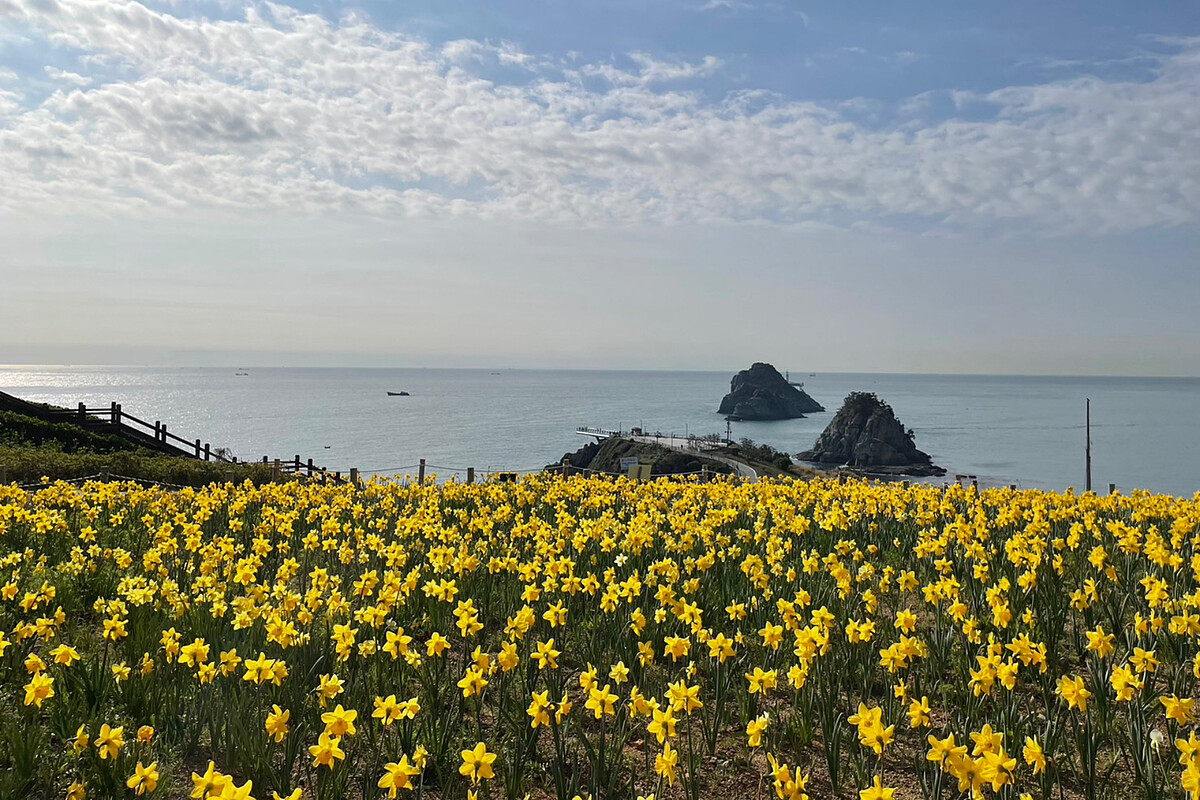 五六島Skywalk玻璃步道的臨海視角（韓國觀光公社提供）