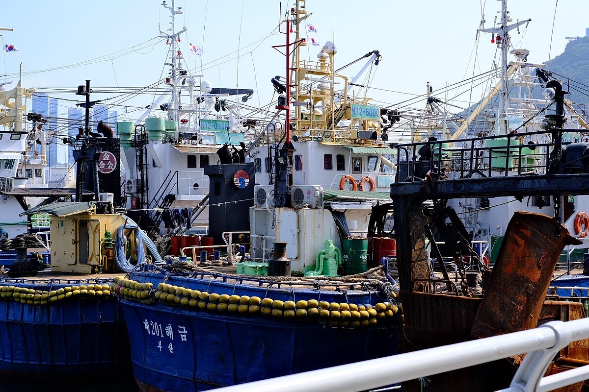 釜山札嘎其市場緊鄰國際市場，是韓國最具代表性的漁市之一