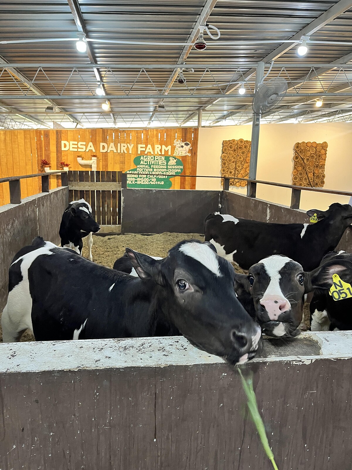 Melody TU 採訪拍攝