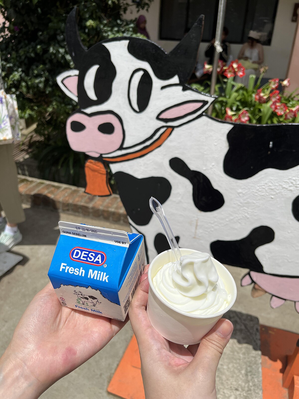 Melody TU 採訪拍攝