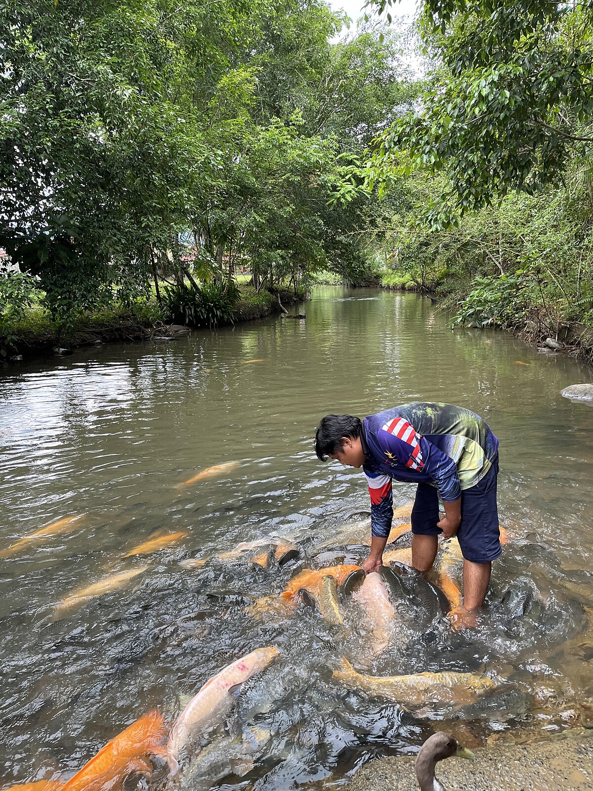 魚療體驗｜Melody TU 採訪拍攝