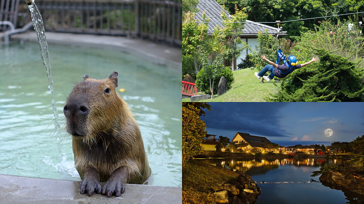 【解壓小出走】宜蘭綠舞「豪華庭園Villa」開箱亮點，餵水豚、玩滑索...一站式日式度假體驗