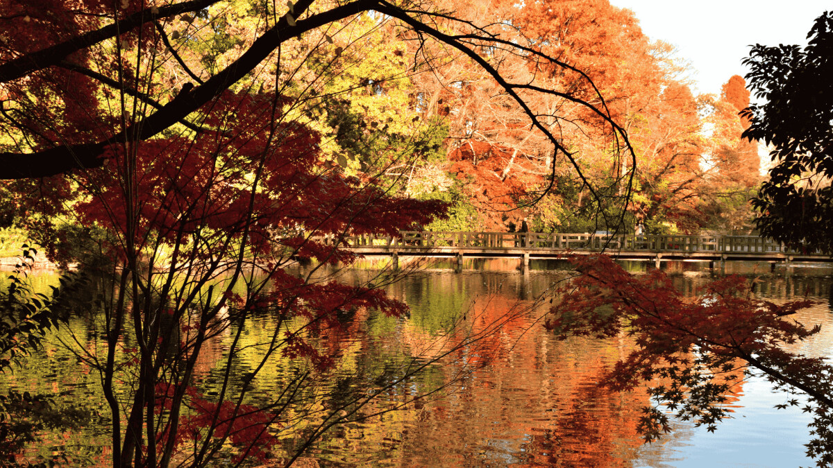 井之頭恩賜公園