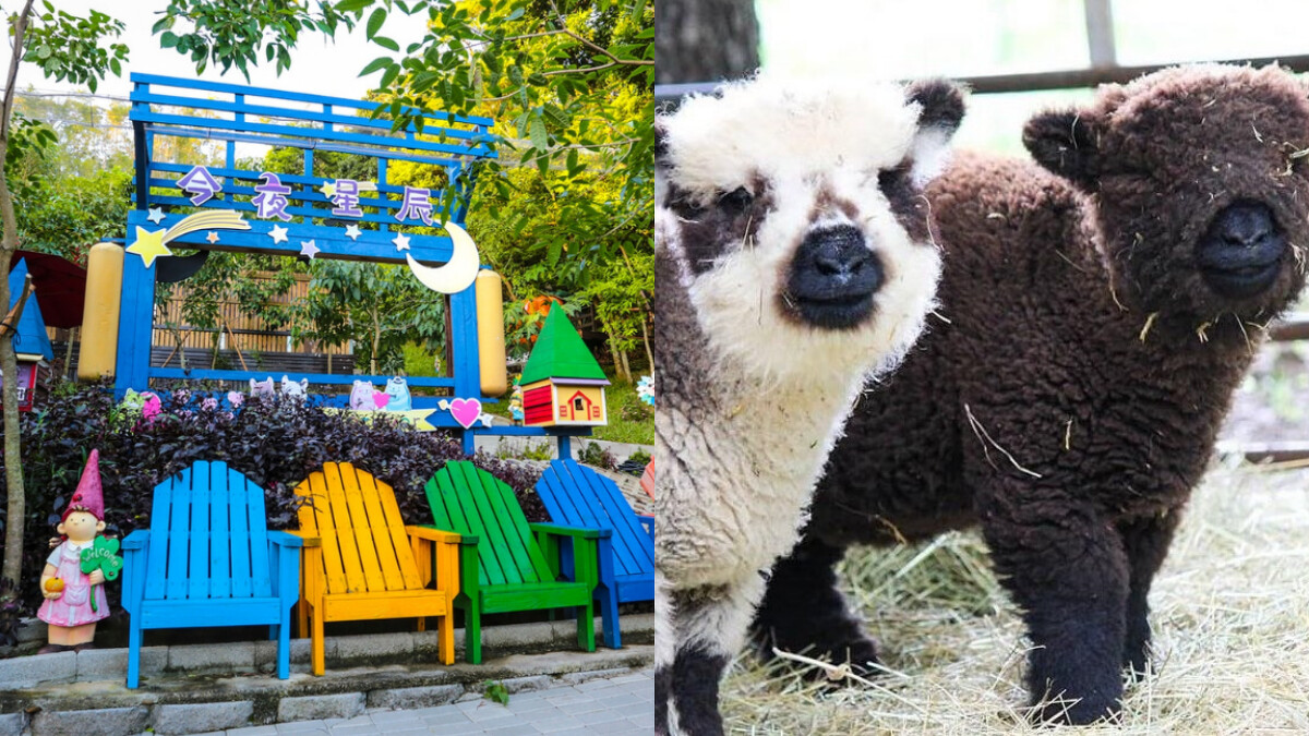 Photo/彰化旅遊資訊網、FB@今夜星辰休閒農場