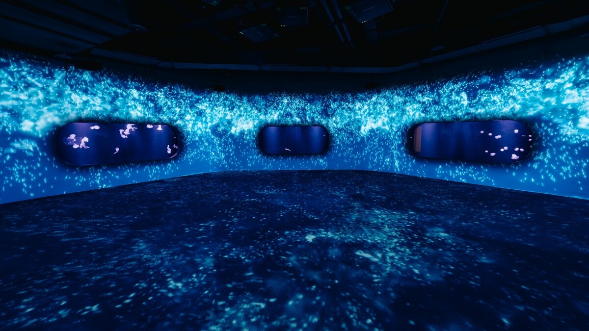 台中海洋館3樓：水母展區