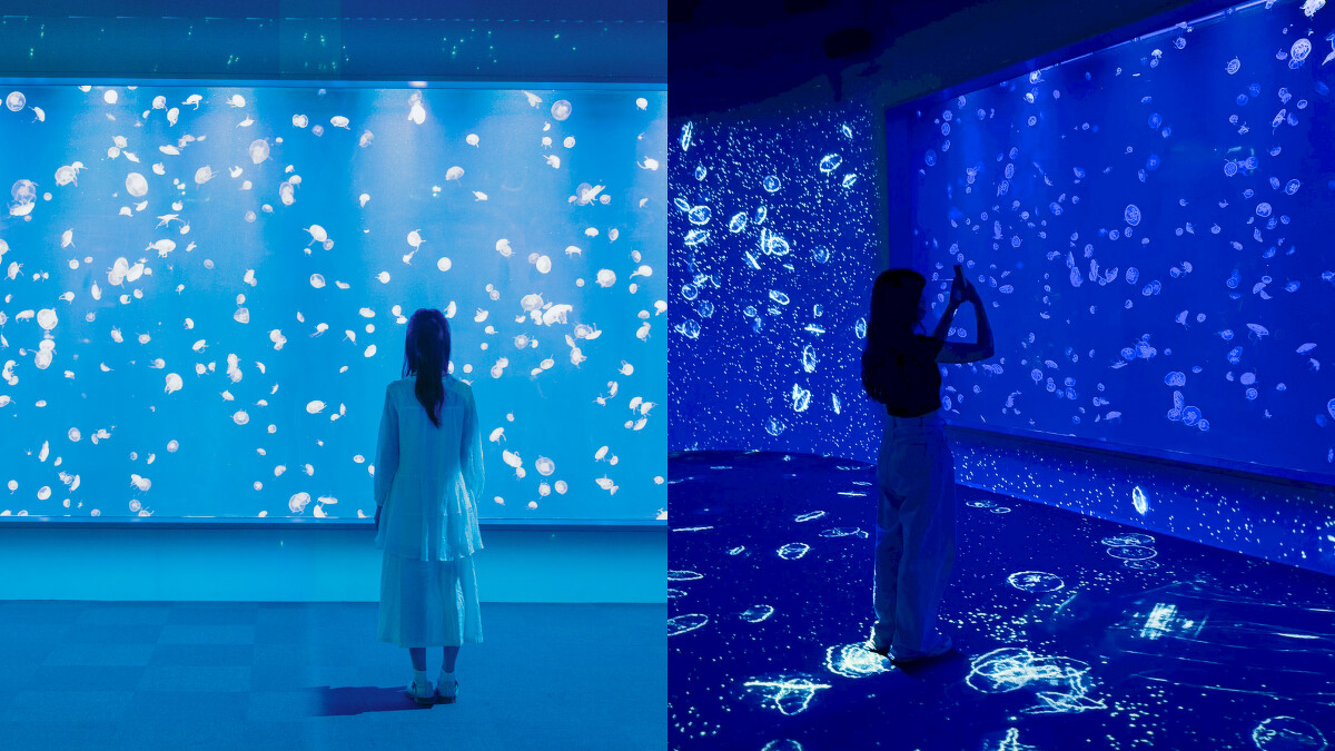 台中海洋館3樓：水母展區