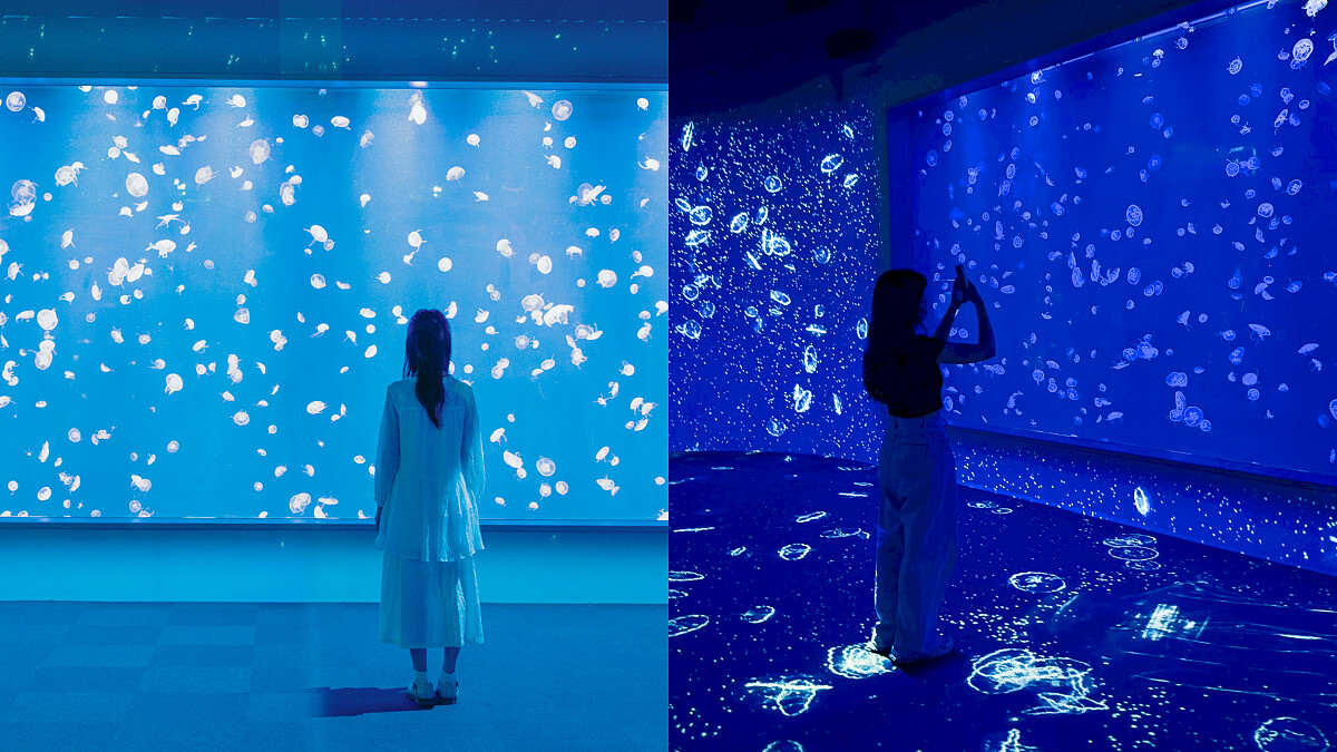 台中海洋館3樓：水母展區