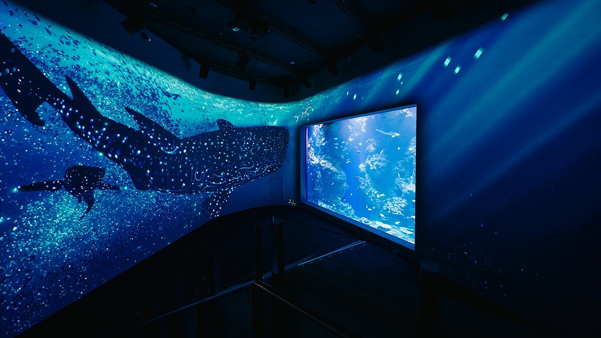 台中海洋館1樓：黑潮之海