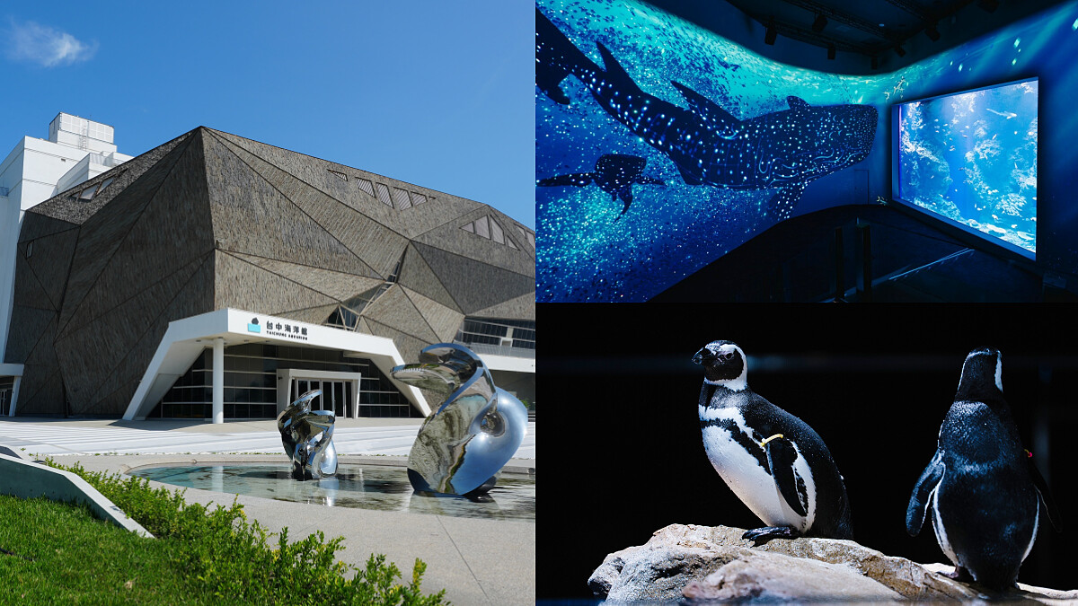 台中海洋館門票、開幕時間公開！斥資13億「全台最先進水族館」完整4層樓攻略