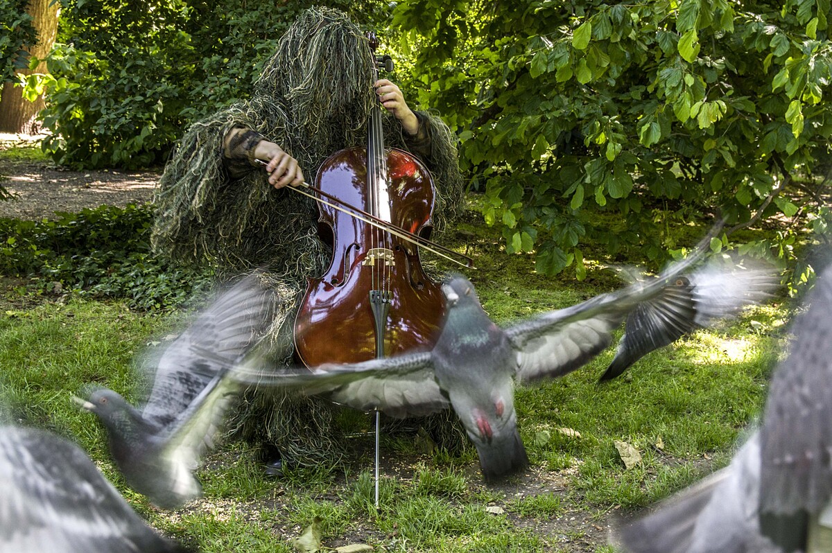 Bird&rsquo;s Summoner ｜2022｜尺寸依場地而定｜Single-channel video 2 min 42 sec｜圖⽚提供：Courtesy of the Artist, YIRI ARTS