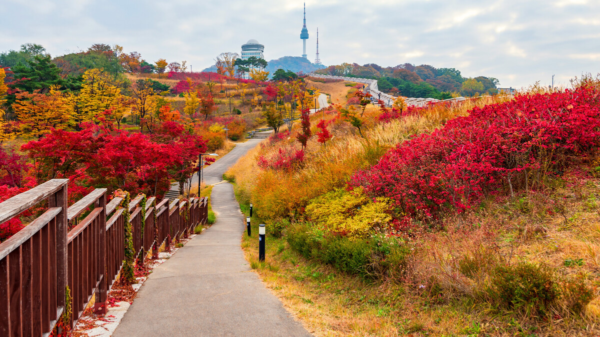 首爾南山公園