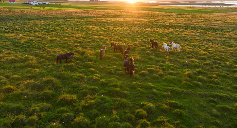 Photo / 塔羅耳語