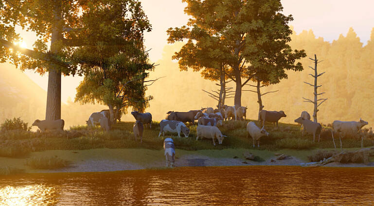 Photo / 塔羅耳語