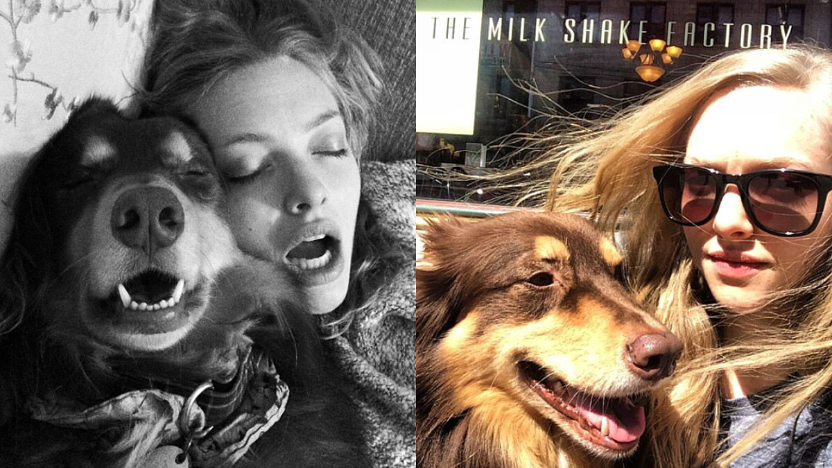 女神Amanda Seyfried臉書大告白!真愛是誰??