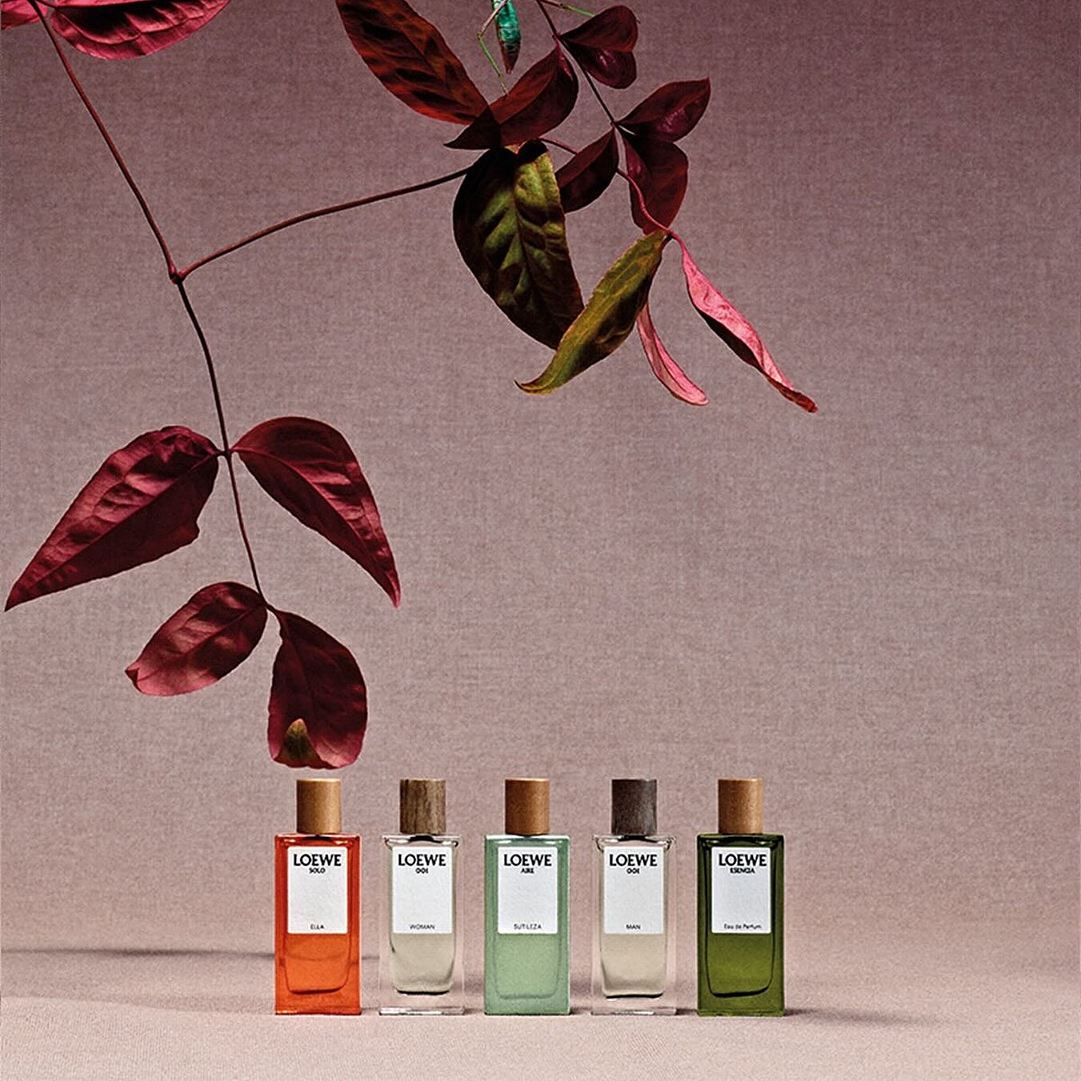 LOEWE迷你香氛禮盒情境圖。