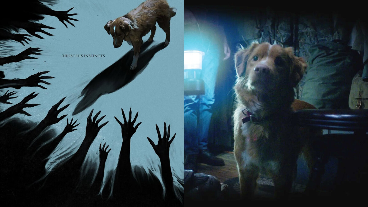 《Good Boy》狗狗恐怖電影未映爆紅！保護中邪主人的乖狗故事，導演愛犬Indy出演：「狗的超能力是能感知主人痛苦」