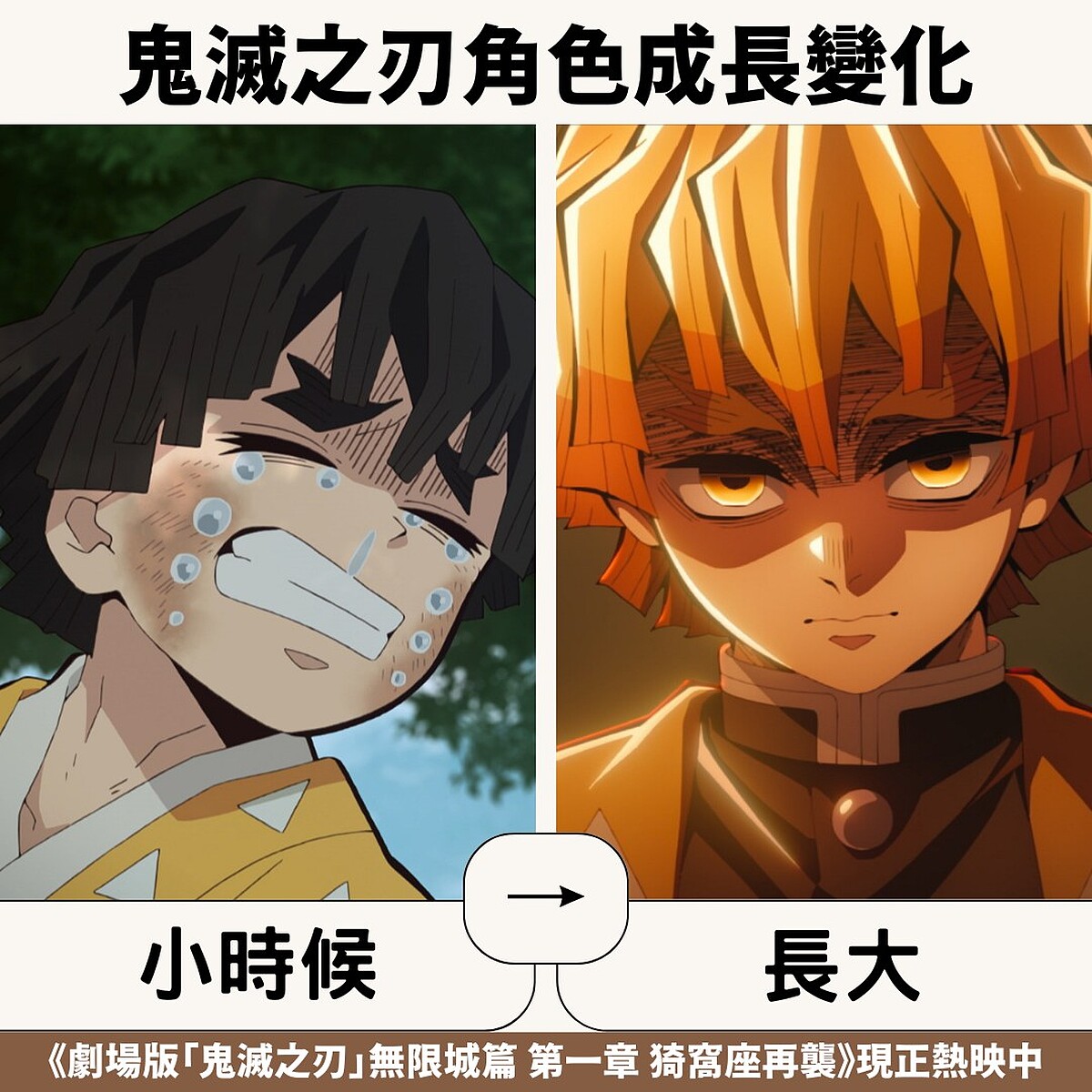 Photo / 翻攝Muse木棉花官方臉書