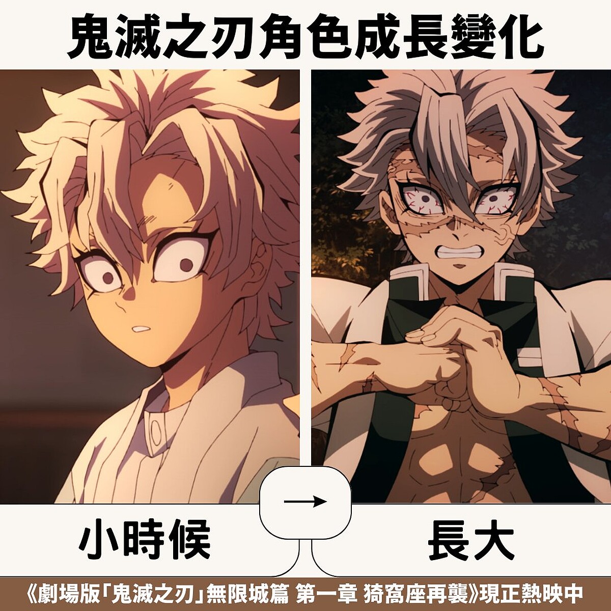 Photo / 翻攝Muse木棉花官方臉書