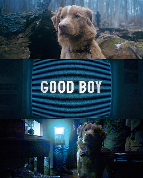 Photo / 好威映象