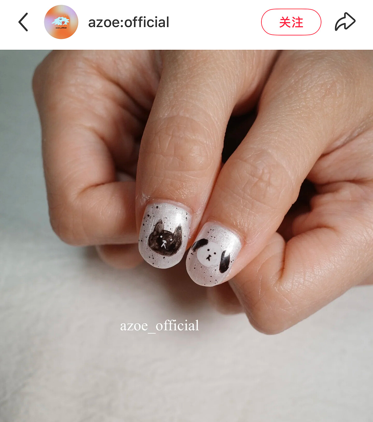 Photo/小紅書@azoe:offcial