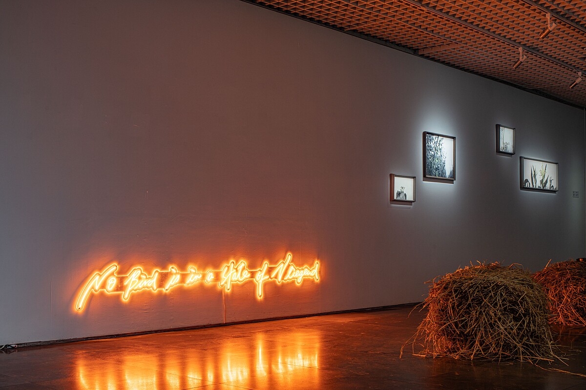 展場照：勞麗麗《飛行備忘》與《隱花色素》，北師美術館提供，攝影：dulub studio