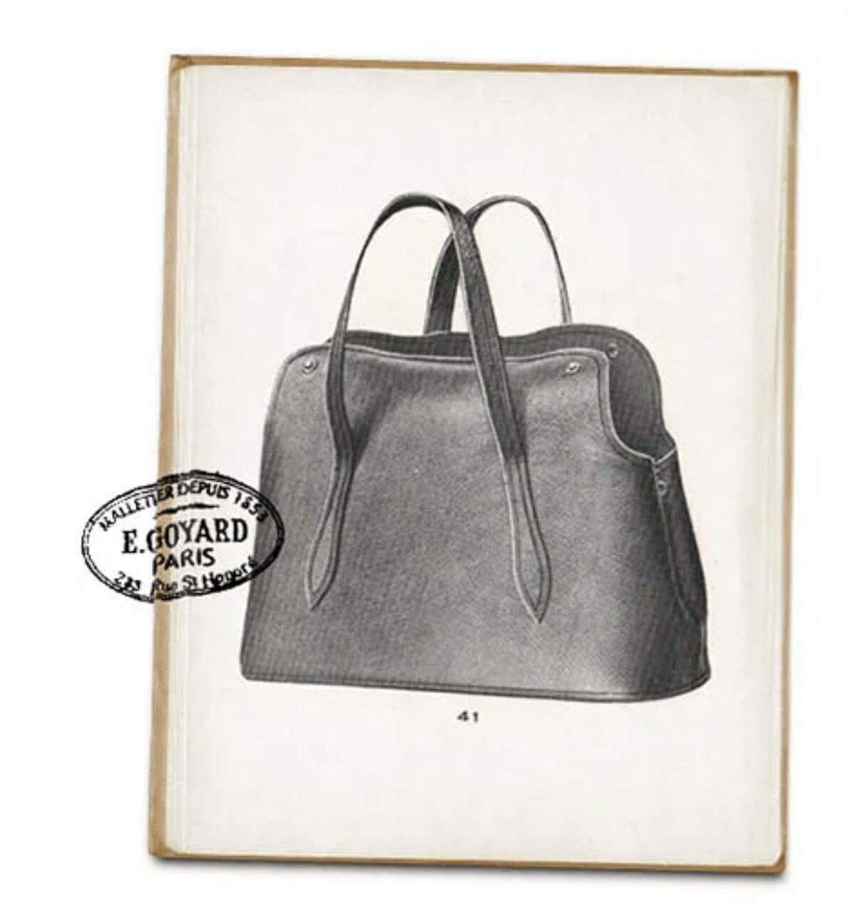 這是Goyard經典的Saint Louis寵物包。