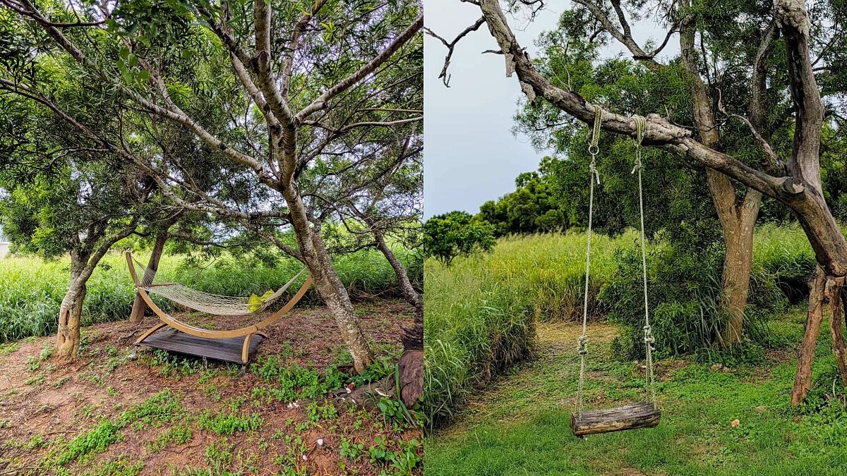 草叢旁設置吊床及鞦韆