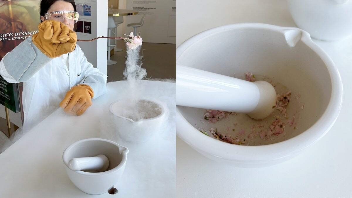 迪奧人員示範用液態氮把花瞬間冷凍，再將花瓣磨成粉末，最大程度保留分子活性。