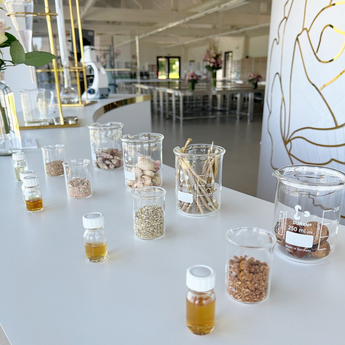 從岡維拉玫瑰不同的部位得到不同的萃取。