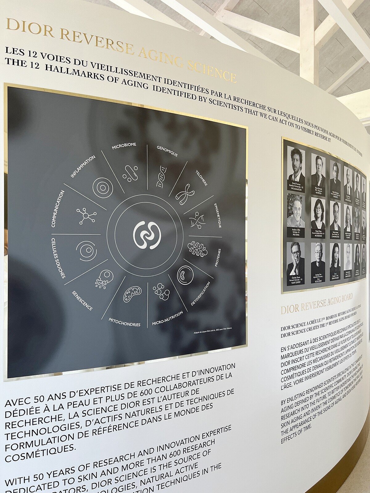 迪奧倒轉肌齡的輪盤，上面列出肌膚的青春指標，每一項彼此間環環相扣。