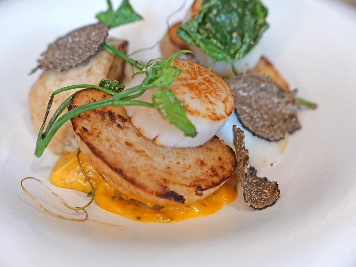 「干貝班尼迪克佐新鮮黑松露」。