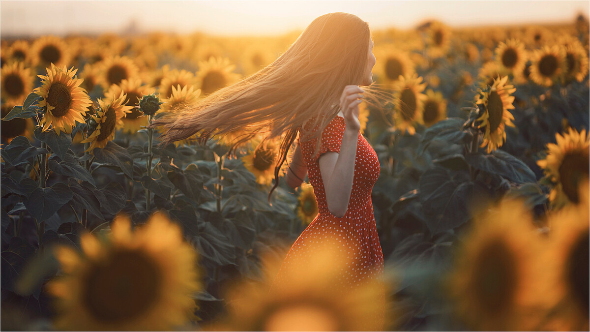 二十四節氣「白露」來了！6大養生禁忌與保養提醒，生肖蛇與雞要特別當心